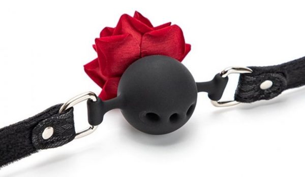 BÂILLON BOULE AVEC ROSE BUD GAG – Image 3