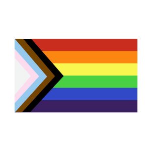 DRAPEAU LGBT +