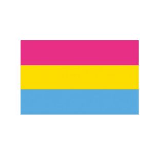 DRAPEAU PANSEXUEL
