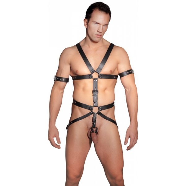 HARNAIS COMPLET EN CUIR NOIR