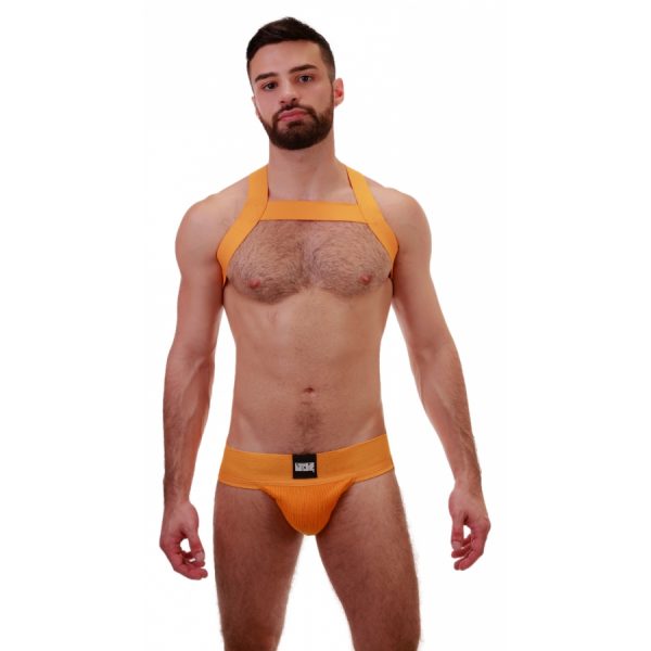 HARNAIS ÉLASTIQUE MATT – Image 3