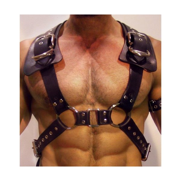 HARNAIS GLADIATOR SHOULD