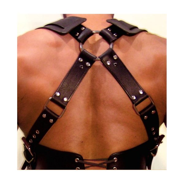 HARNAIS GLADIATOR SHOULD – Image 3