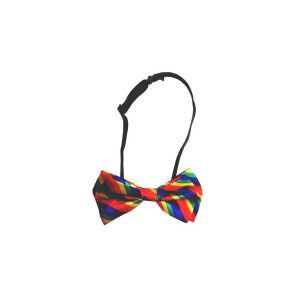 NOEUD PAPILLON RAINBOW