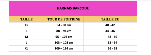 HARNAIS ÉLASTIQUE MATT – Image 6