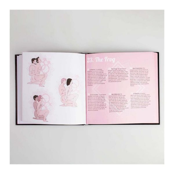 LIVRE ÉROTIQUE 69 POSITIONS KAMASUTRA – Image 2