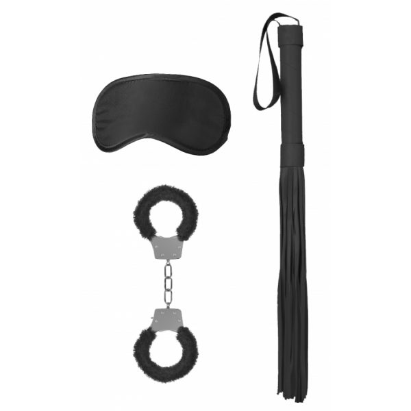 KIT D'INTRODUCTION AU SM N°1 – Image 4