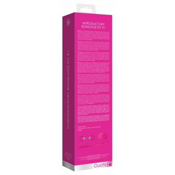 KIT D'INTRODUCTION AU SM N°1 – Image 9