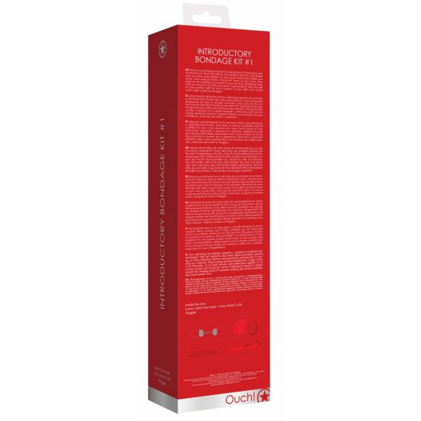 KIT D'INTRODUCTION AU SM N°1 – Image 3