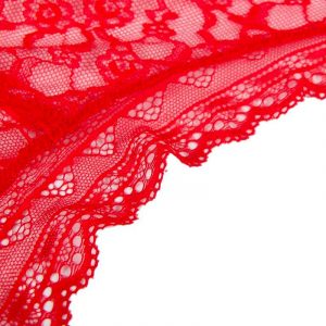 CULOTTE DENTELLE MONTANTE - GRANDE TAILLE